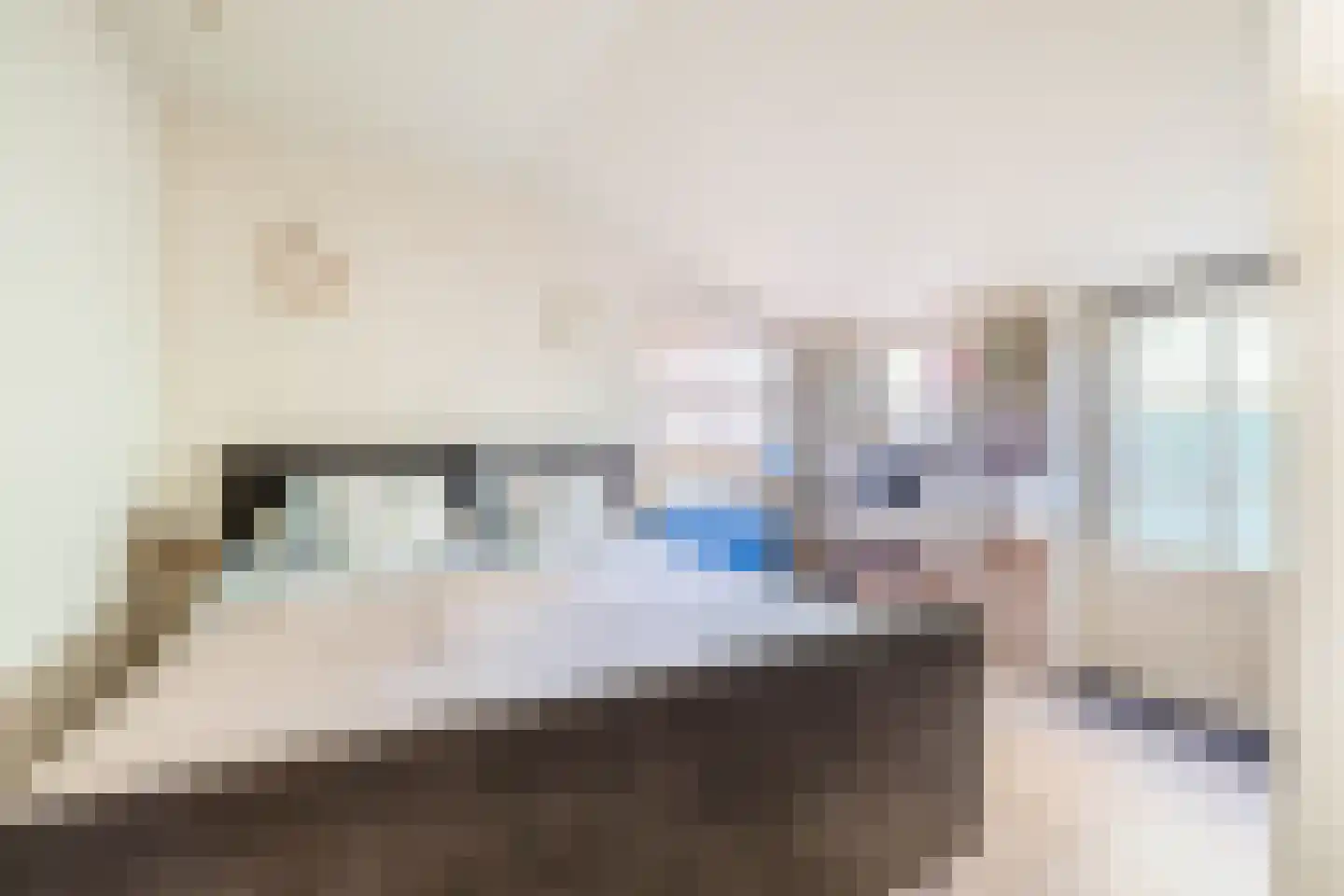 Dorpsstraat 399 Assendelft thumbnail 23