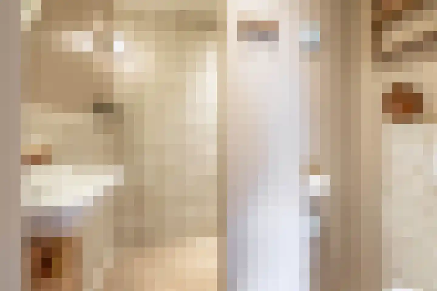 Dorpsstraat 399 Assendelft thumbnail 33