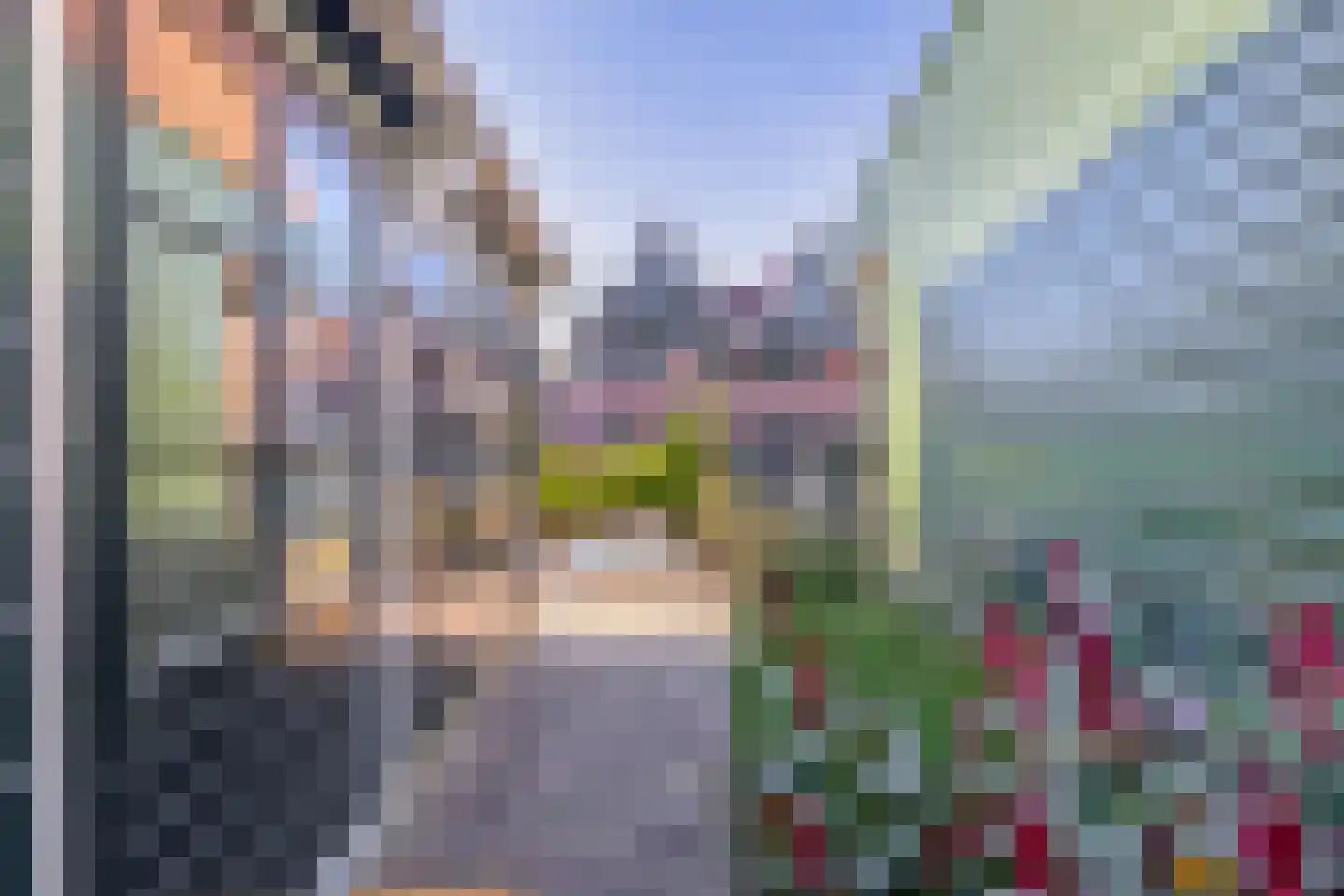 Dorpsstraat 399 Assendelft thumbnail 36