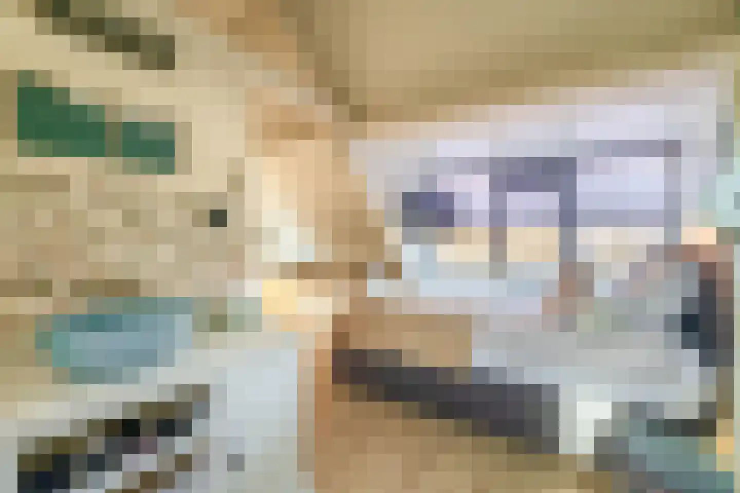 Dorpsstraat 399 Assendelft thumbnail 39