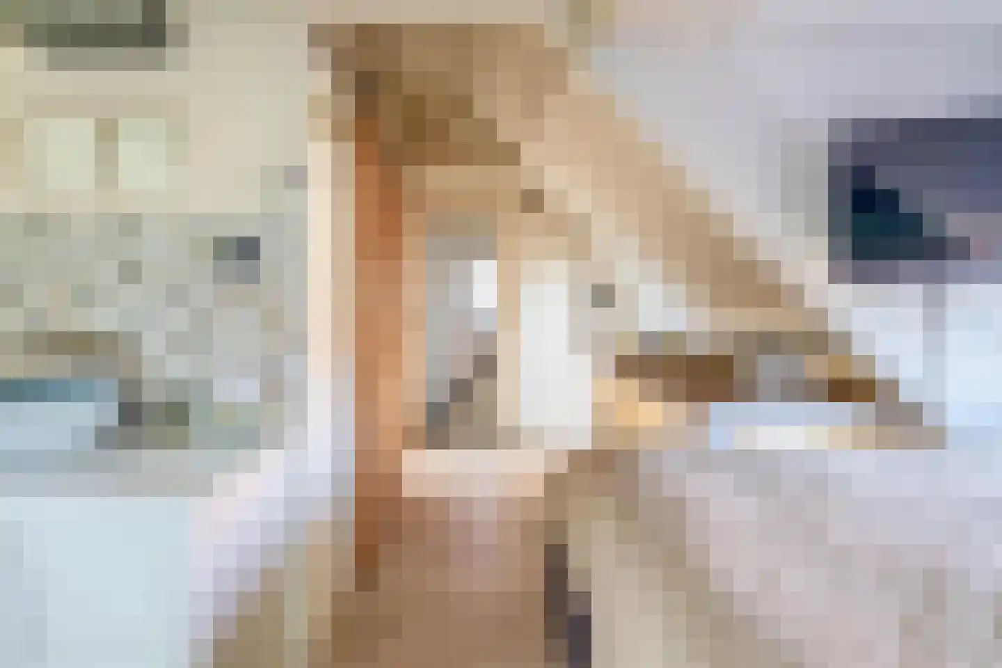 Dorpsstraat 399 Assendelft thumbnail 40