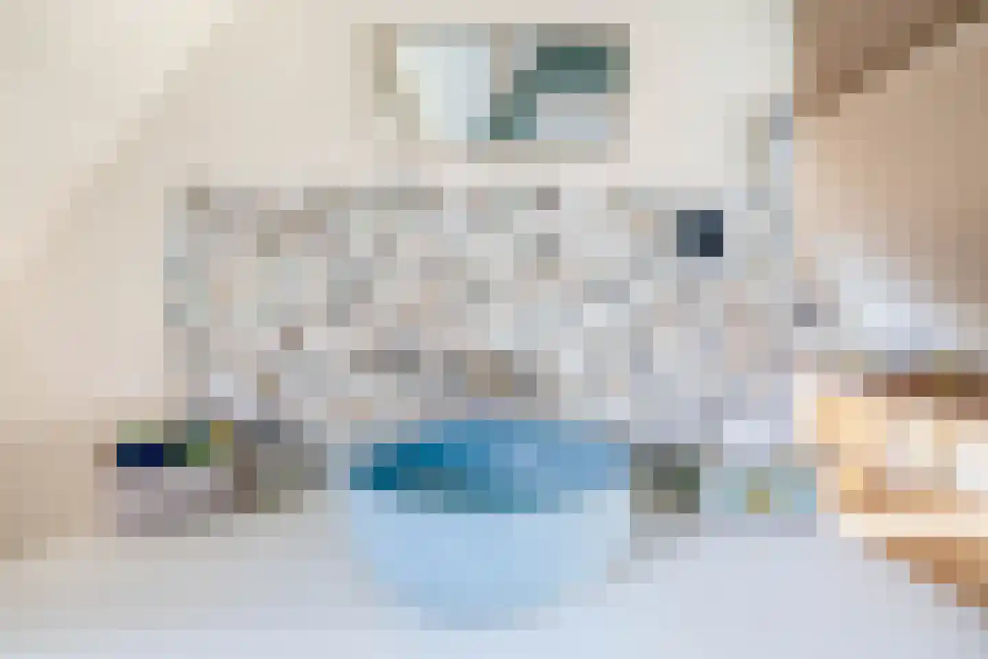 Dorpsstraat 399 Assendelft thumbnail 44