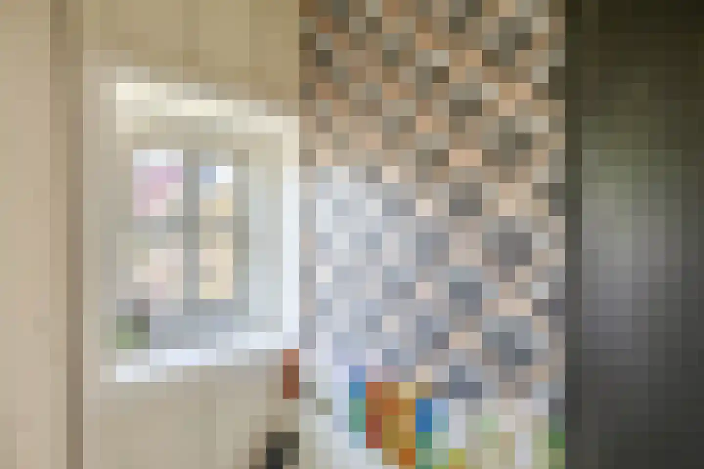 Dorpsstraat 399 Assendelft thumbnail 45