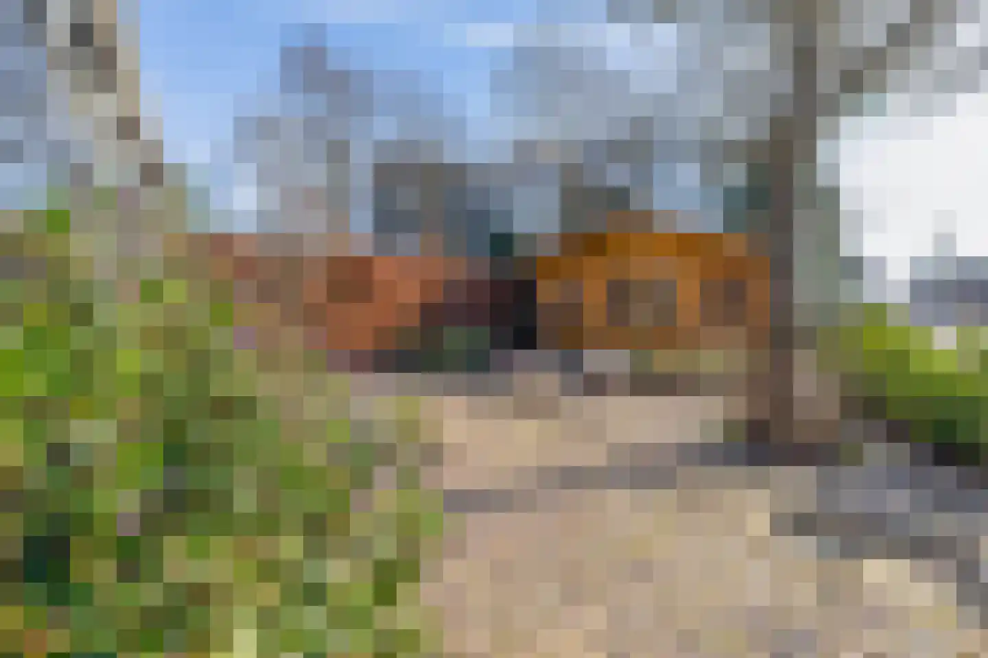 Dorpsstraat 399 Assendelft thumbnail 48