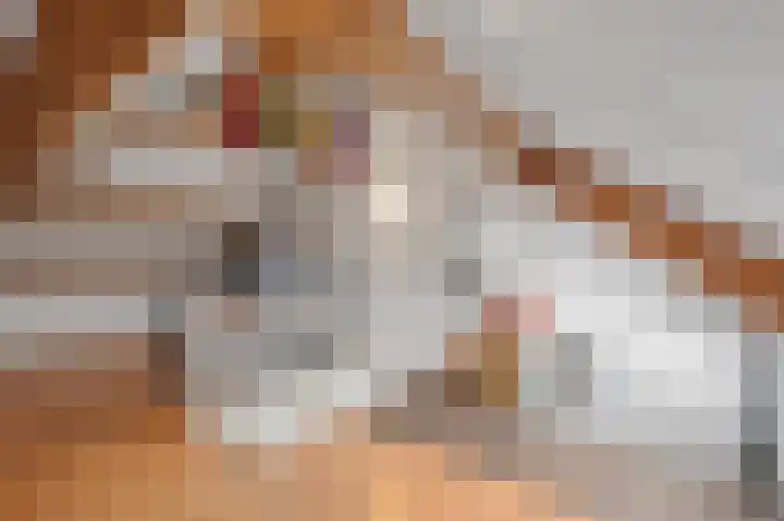 Dorpsstraat 4 a Nispen thumbnail 37