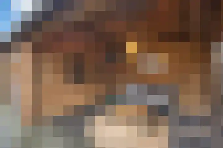 Dorpsstraat 4 a Nispen thumbnail 40