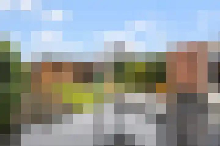 Dorpsstraat 4 a Nispen thumbnail 43