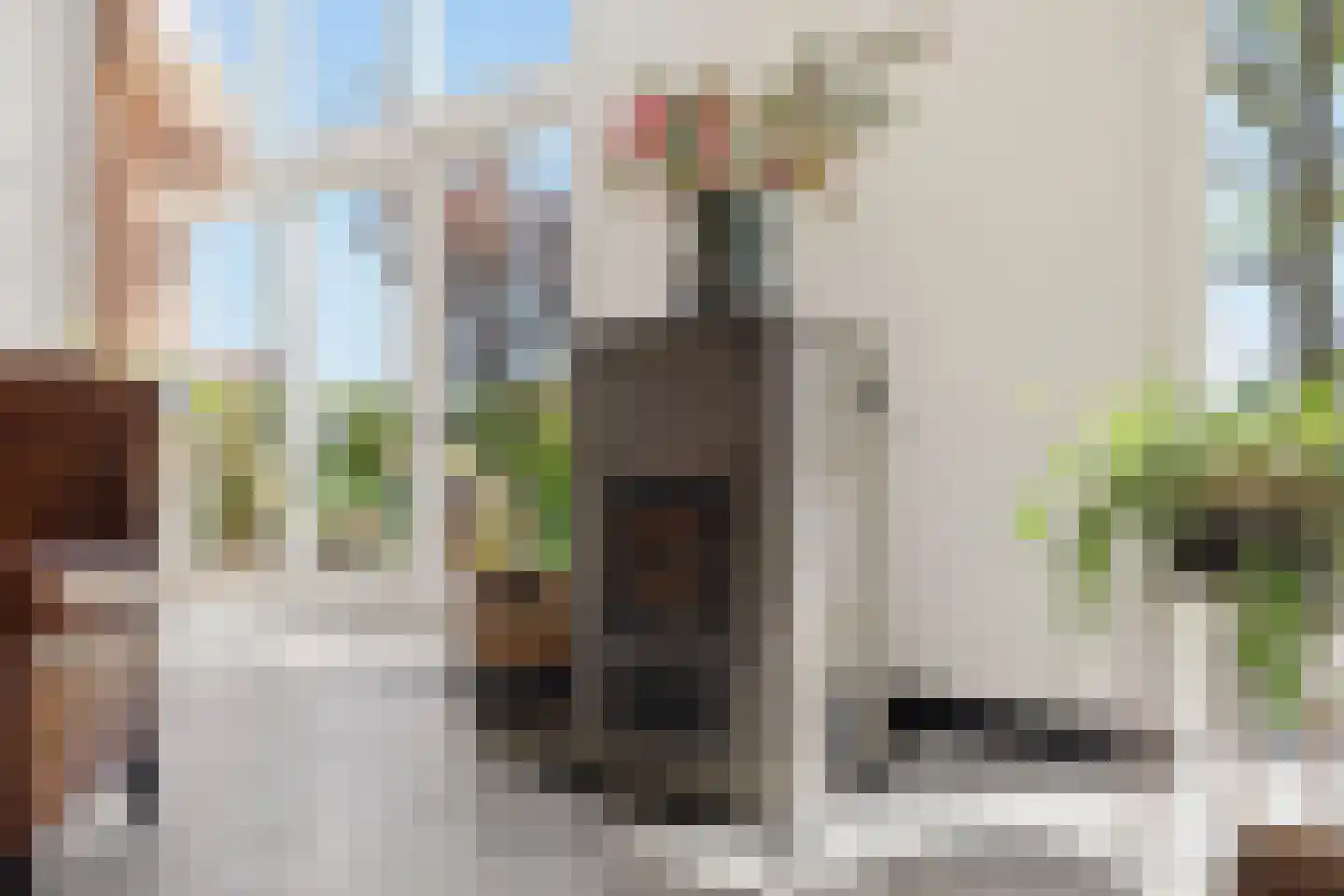 Dorpsstraat 4 A Oostknollendam thumbnail 19