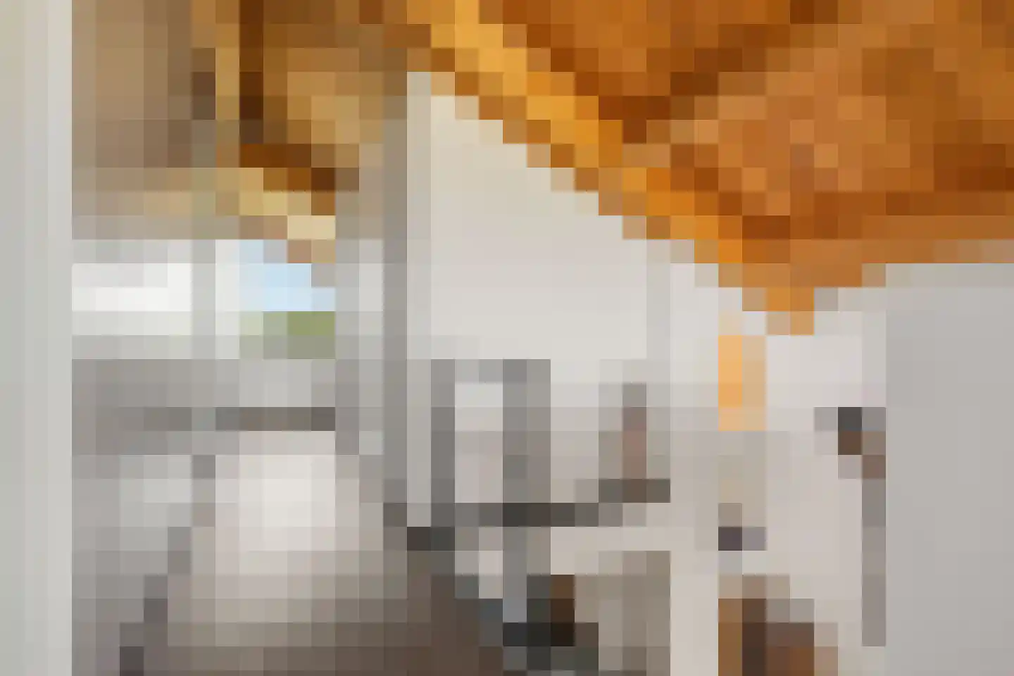 Dorpsstraat 4 A Oostknollendam thumbnail 32