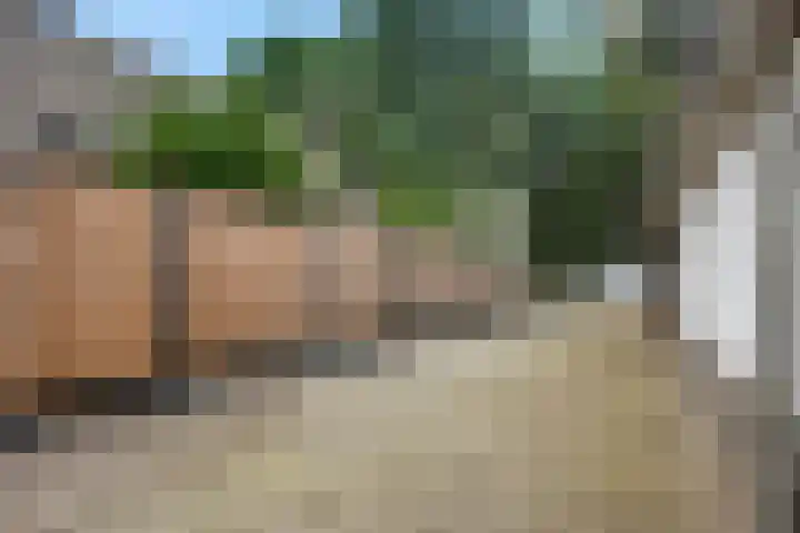 Dorpsstraat 4 D Eesergroen thumbnail 13