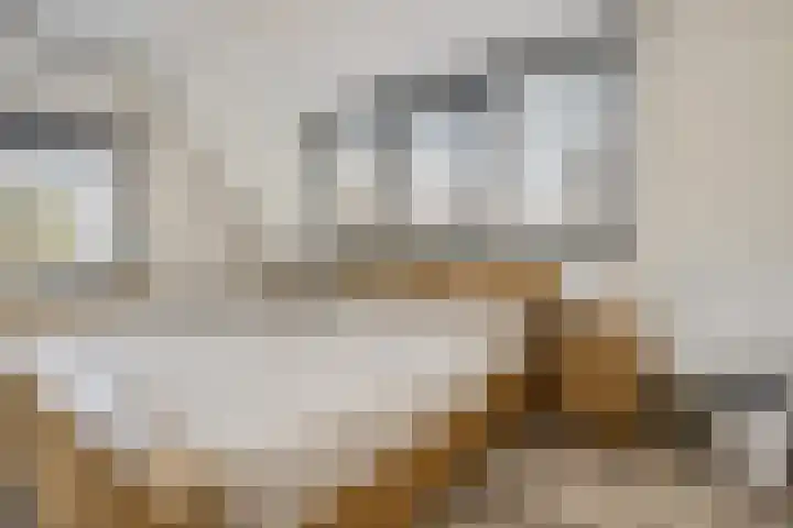 Dorpsstraat 4 D Eesergroen thumbnail 31