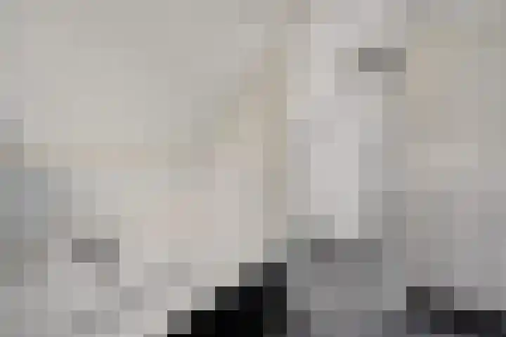 Dorpsstraat 4 D Eesergroen thumbnail 38