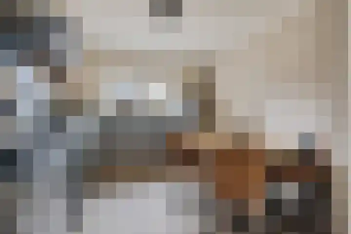 Dorpsstraat 4 D Eesergroen thumbnail 4