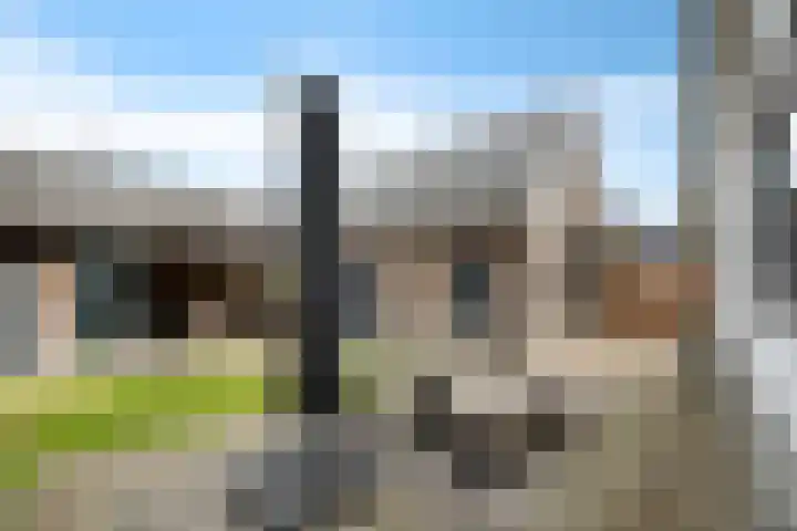 Dorpsstraat 4 D Eesergroen thumbnail 42