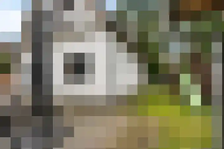 Dorpsstraat 4 D Eesergroen thumbnail 43