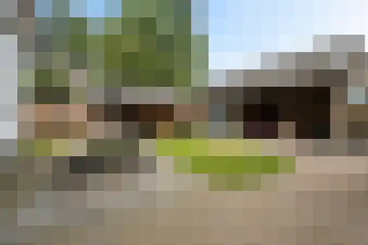 Dorpsstraat 4 D Eesergroen thumbnail 46