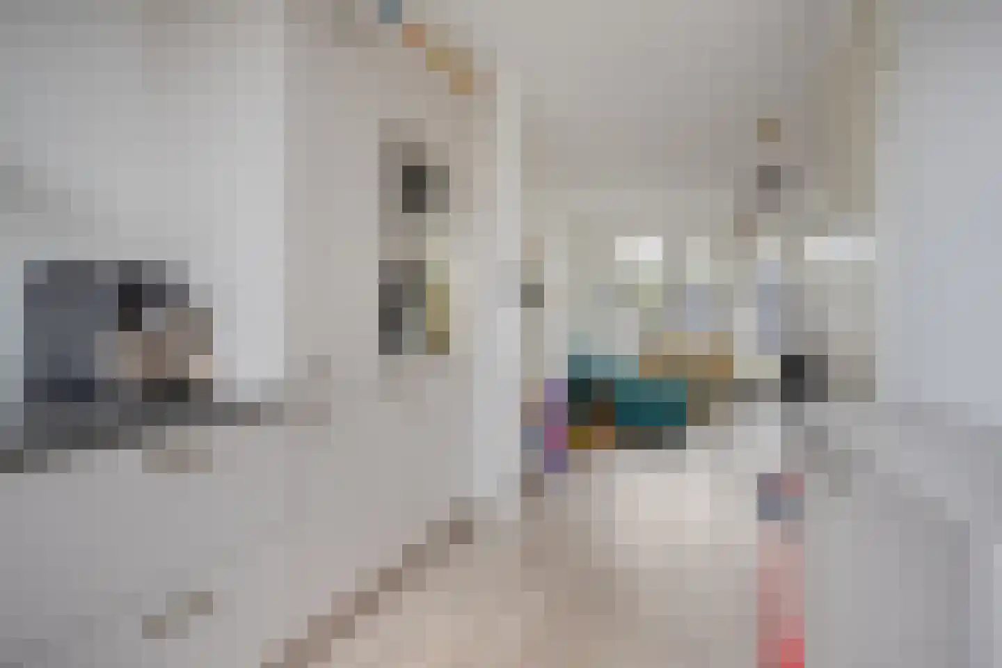 Dorpsstraat 4 d Huijbergen thumbnail 11