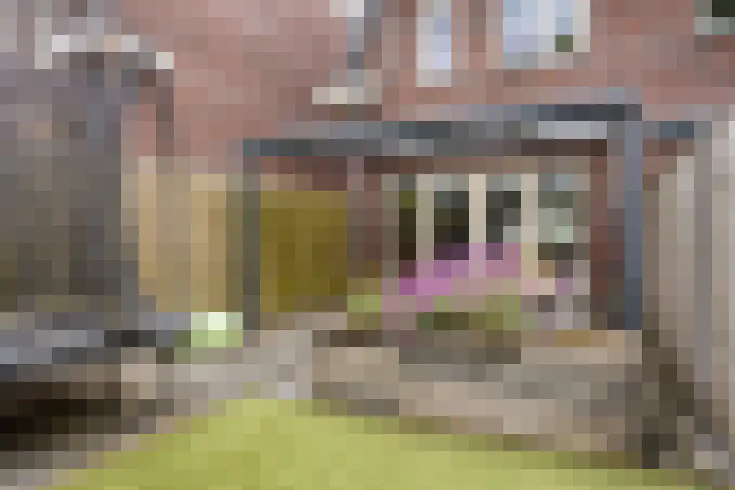 Dorpsstraat 4 d Huijbergen thumbnail 28