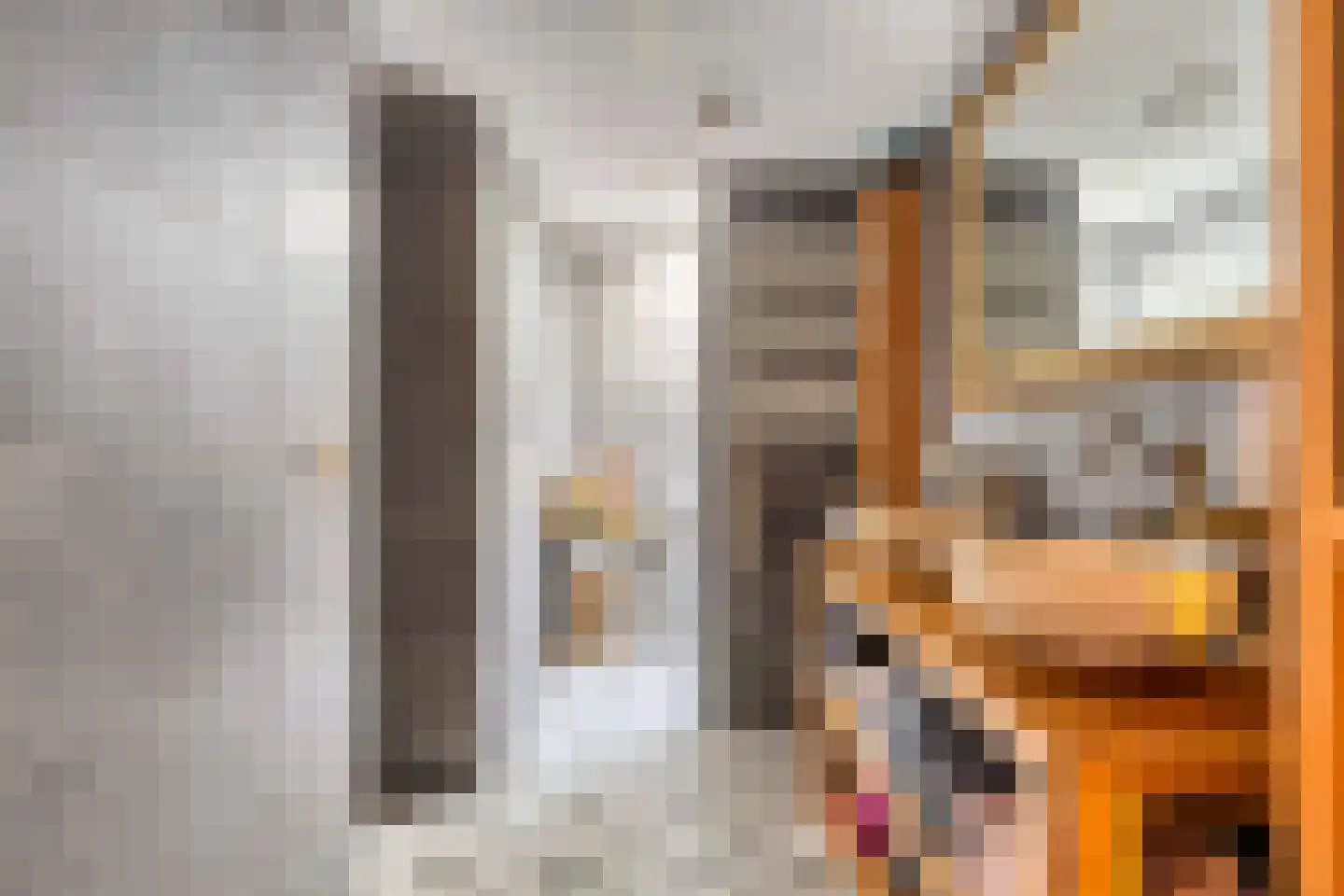 Dorpsstraat 4 Ellemeet thumbnail 13