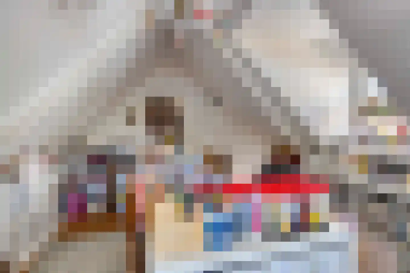 Dorpsstraat 4 Ellemeet thumbnail 16