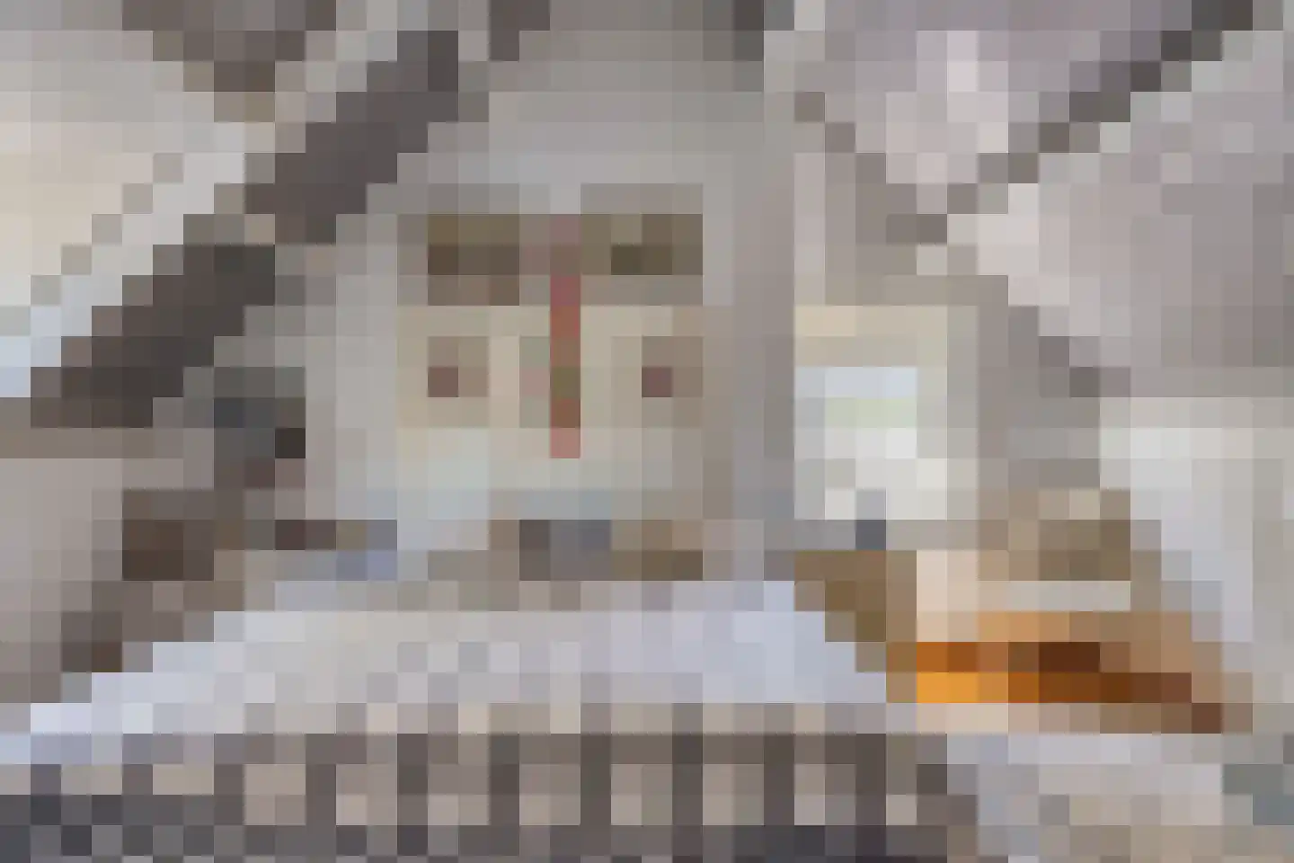 Dorpsstraat 4 Ellemeet thumbnail 17