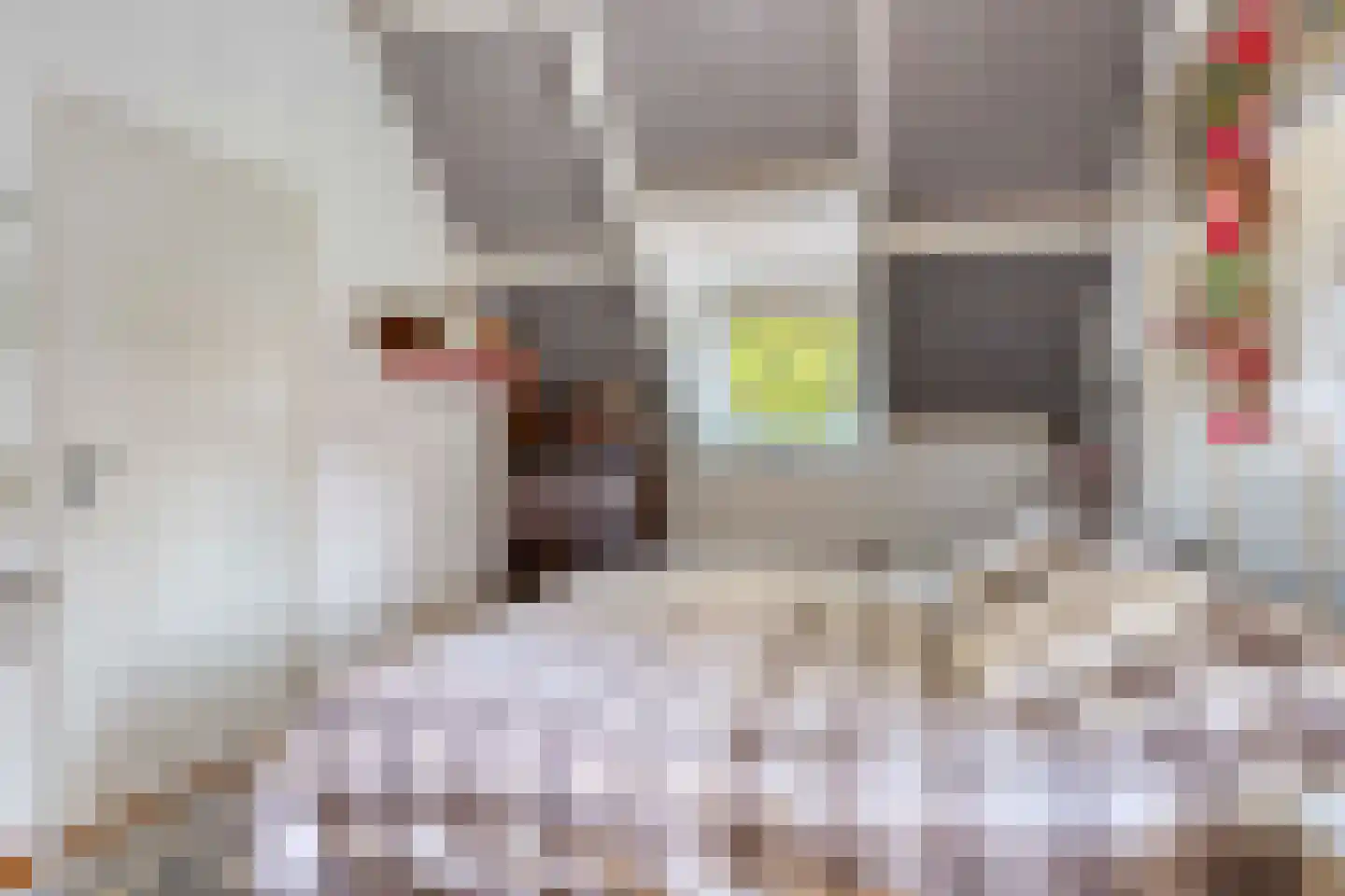 Dorpsstraat 4 Ellemeet thumbnail 18