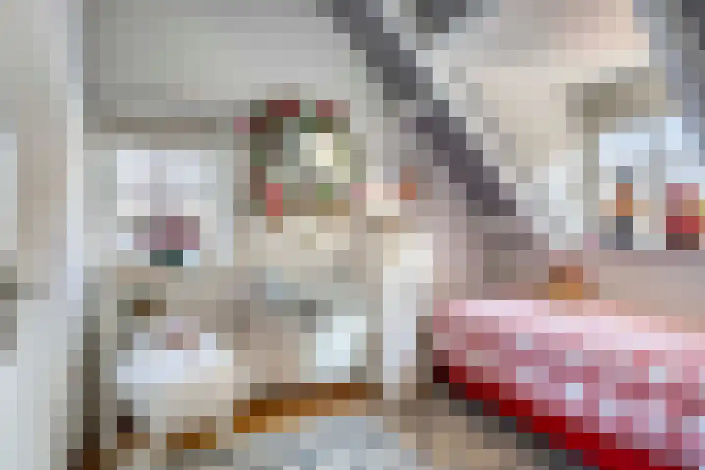 Dorpsstraat 4 Ellemeet thumbnail 19
