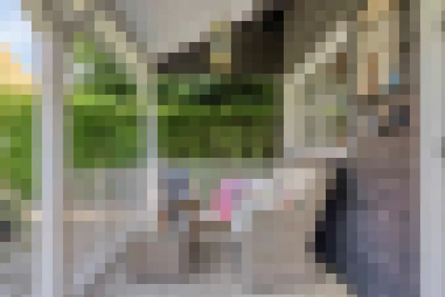 Dorpsstraat 4 Ellemeet thumbnail 25