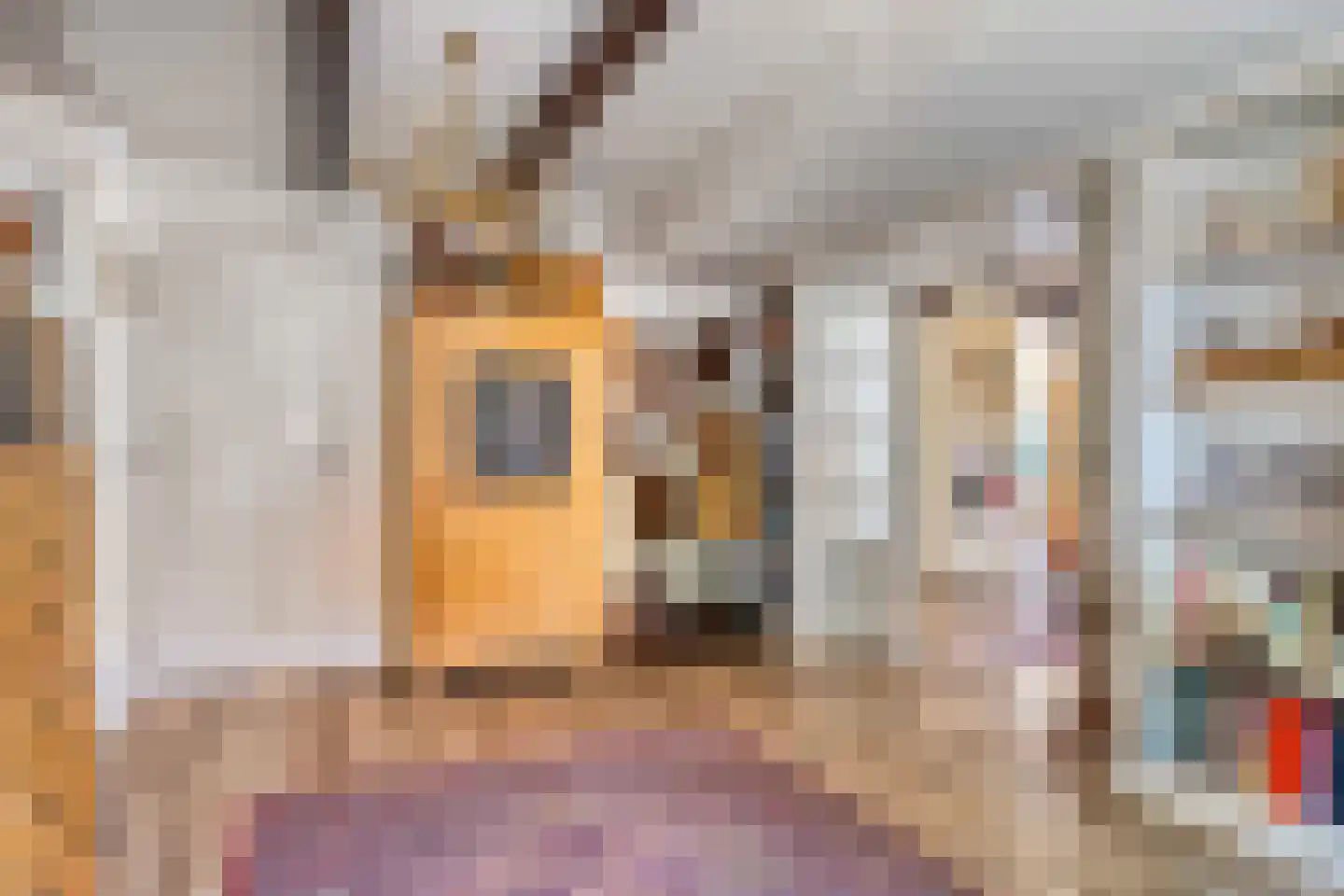 Dorpsstraat 4 Ellemeet thumbnail 4