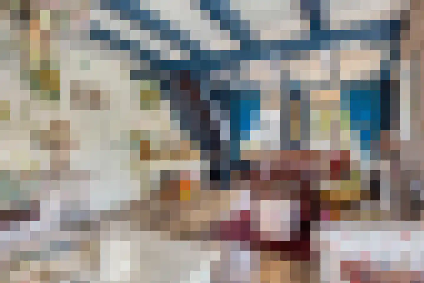 Dorpsstraat 4 Ellemeet thumbnail 6
