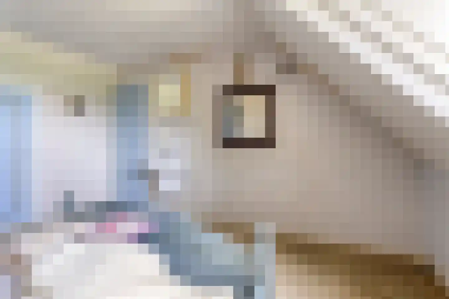 Dorpsstraat 4 Gees thumbnail 30