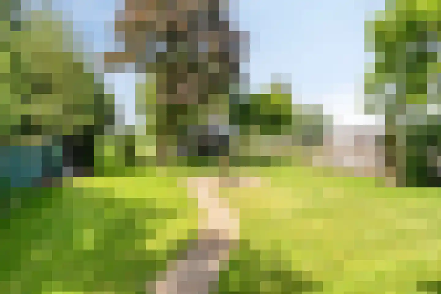 Dorpsstraat 4 Gees thumbnail 34