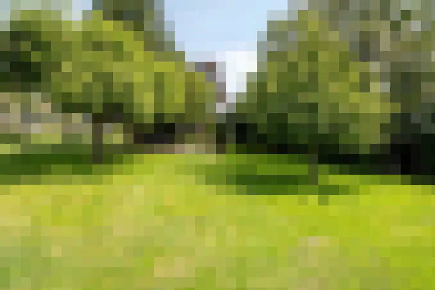 Dorpsstraat 4 Gees thumbnail 41
