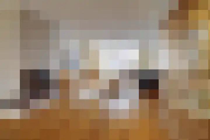 Dorpsstraat 4 Neerkant thumbnail 22