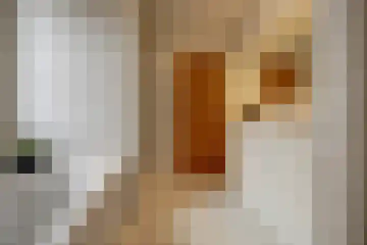 Dorpsstraat 4 Neerkant thumbnail 41