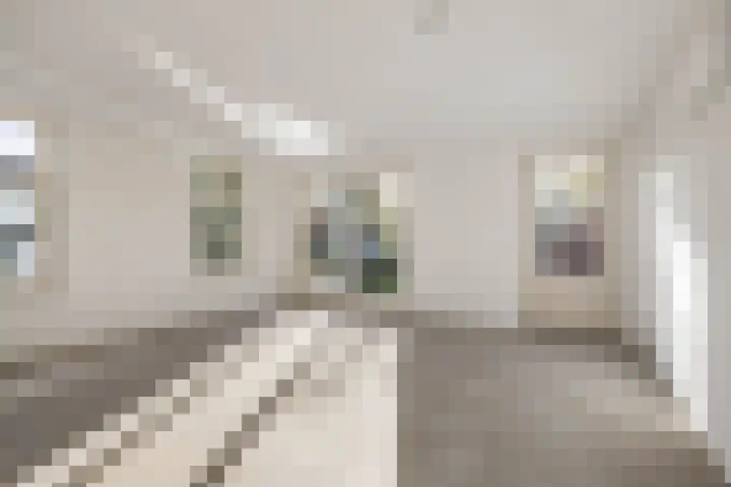 Dorpsstraat 4 Nieuwer Ter Aa thumbnail 10