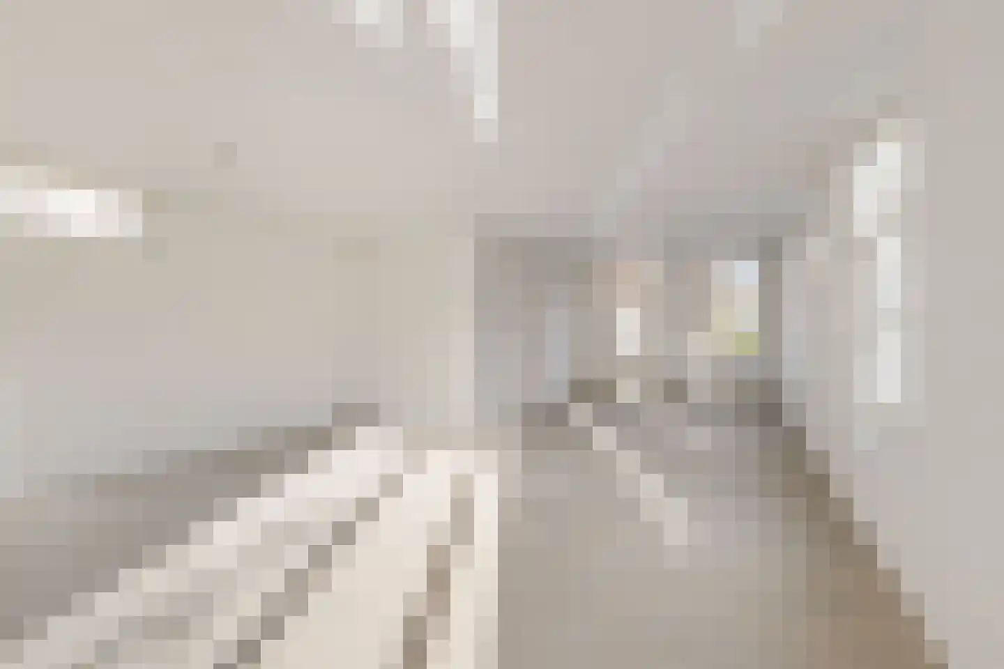 Dorpsstraat 4 Nieuwer Ter Aa thumbnail 13