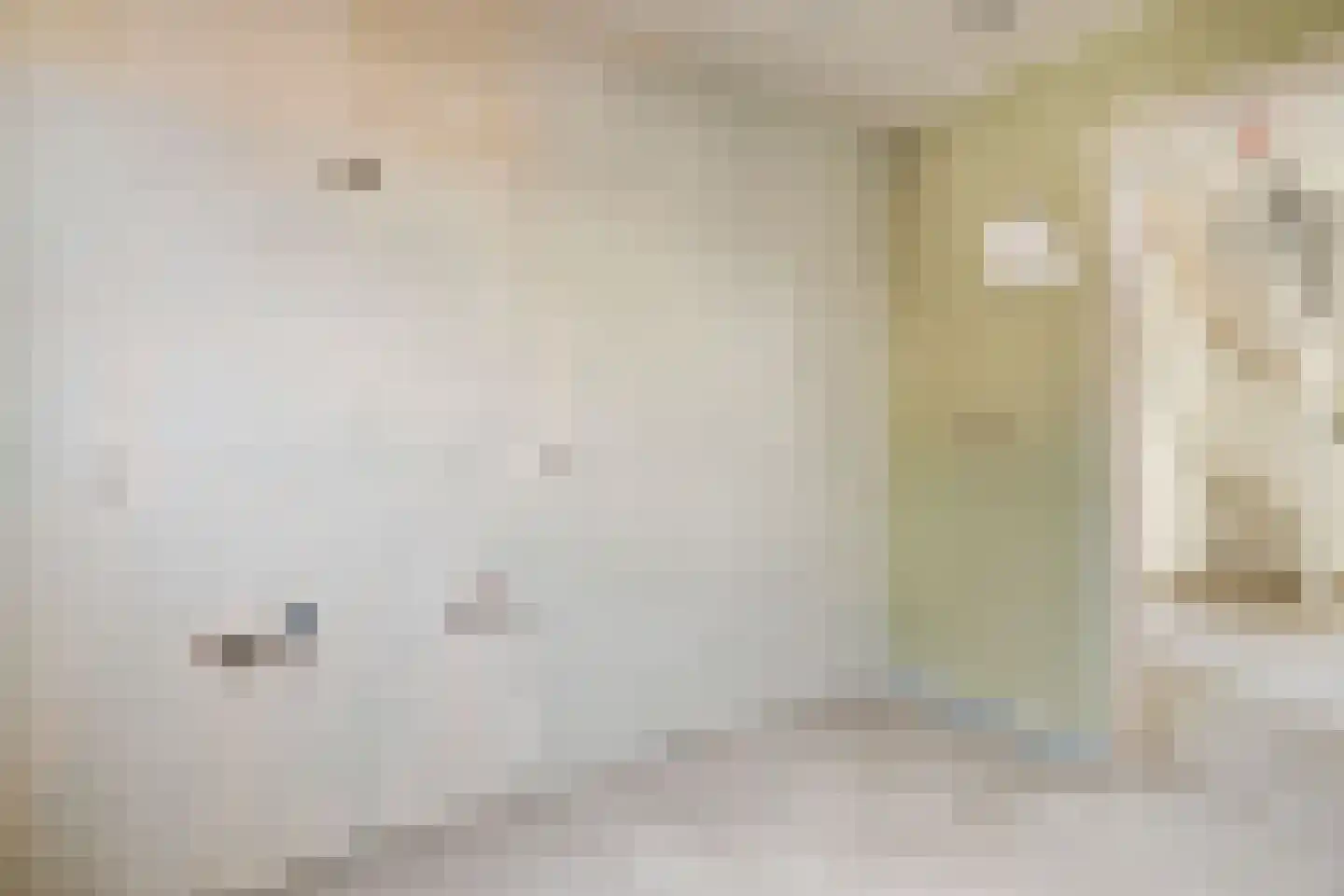 Dorpsstraat 4 Nieuwer Ter Aa thumbnail 23