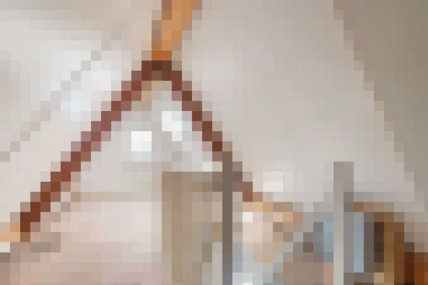 Dorpsstraat 4 Nieuwer Ter Aa thumbnail 26