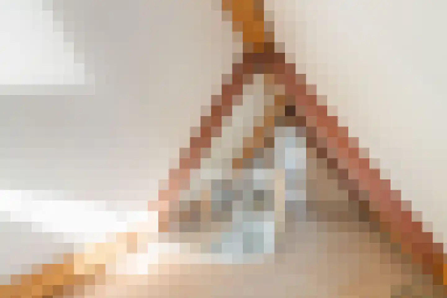 Dorpsstraat 4 Nieuwer Ter Aa thumbnail 29