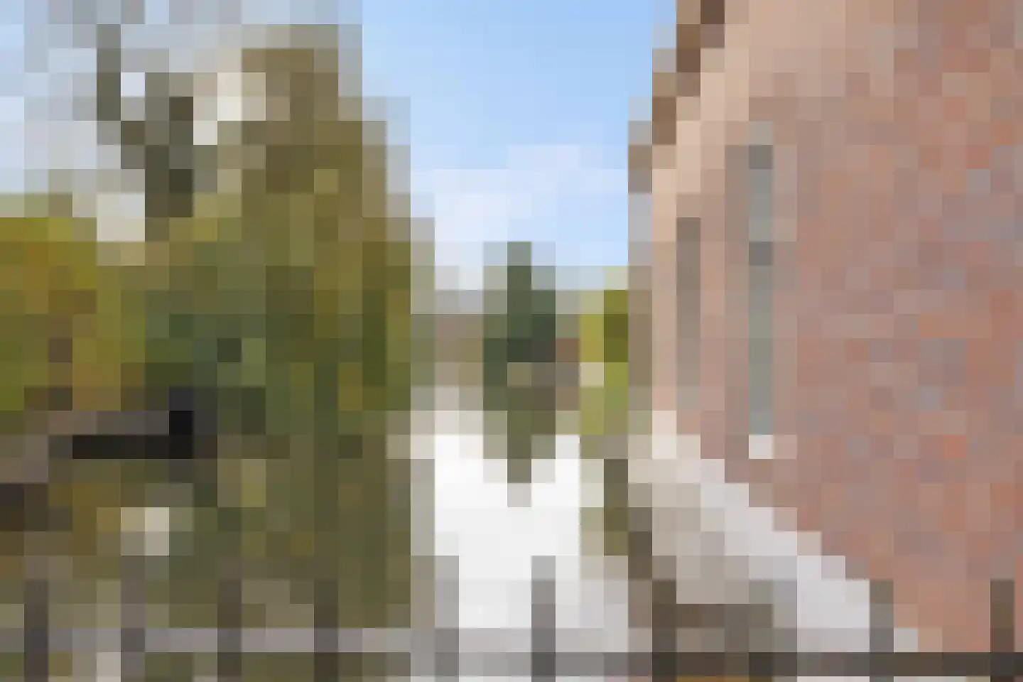 Dorpsstraat 4 Nieuwer Ter Aa thumbnail 38