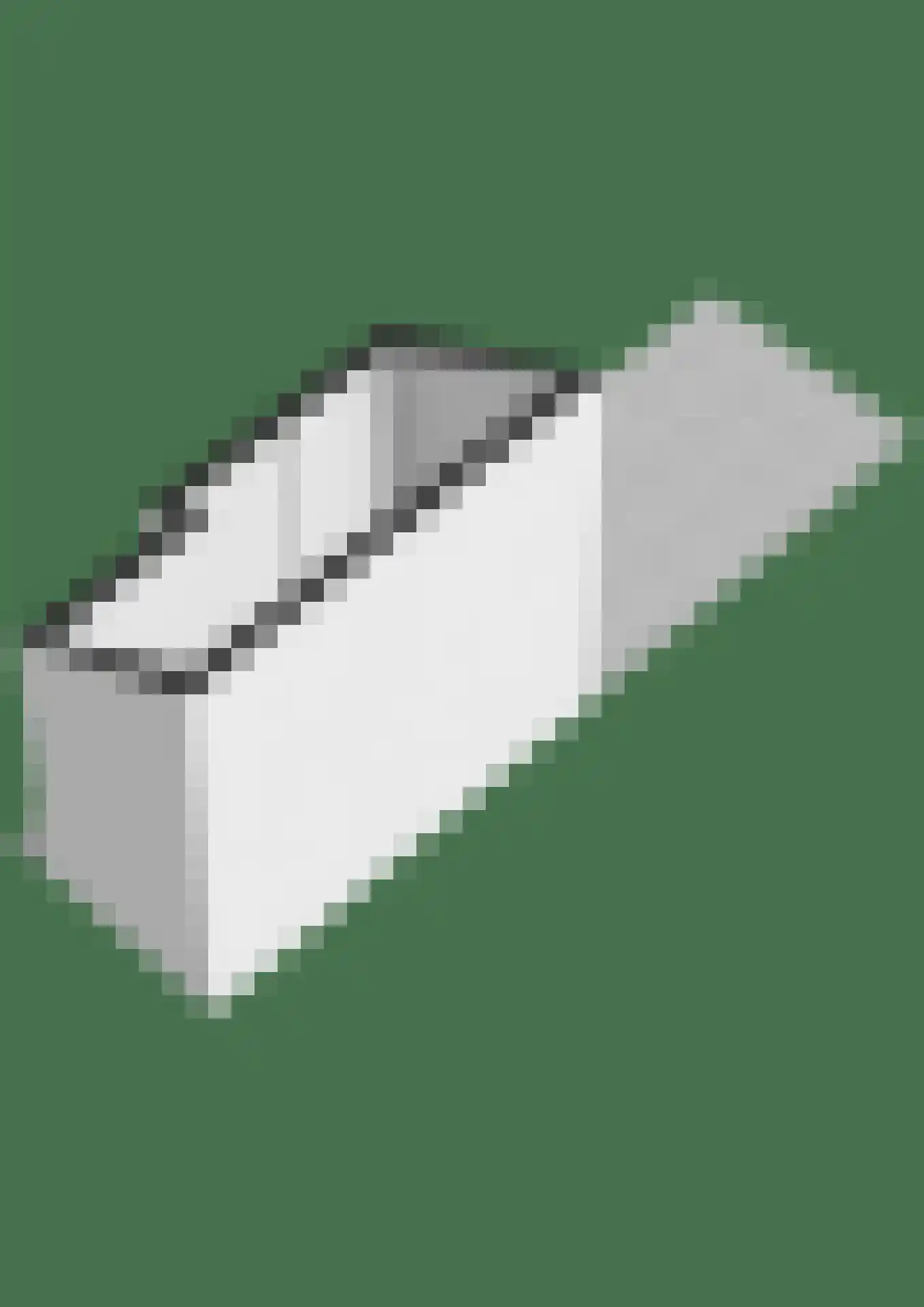 Dorpsstraat 4 Nieuwer Ter Aa thumbnail 44