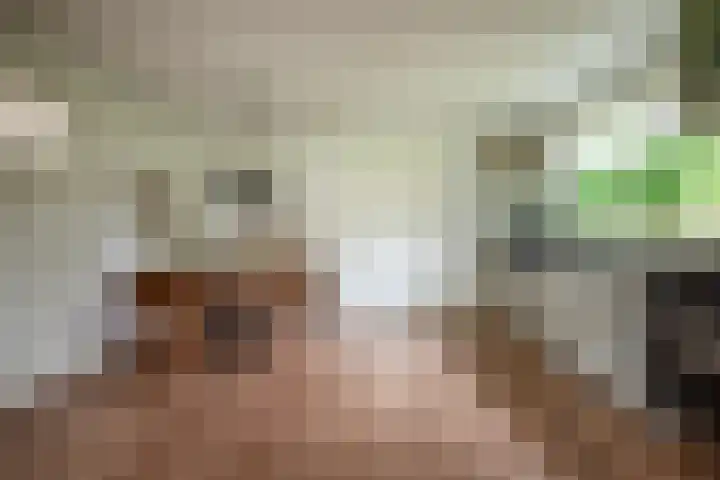 Dorpsstraat 4 Pesse thumbnail 12