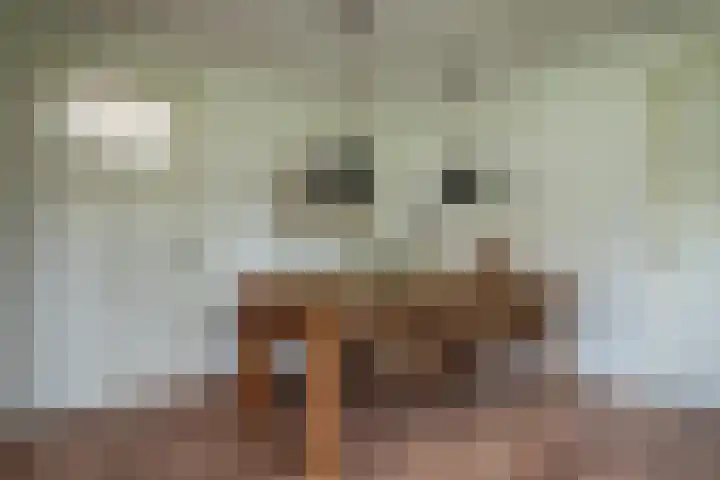 Dorpsstraat 4 Pesse thumbnail 13