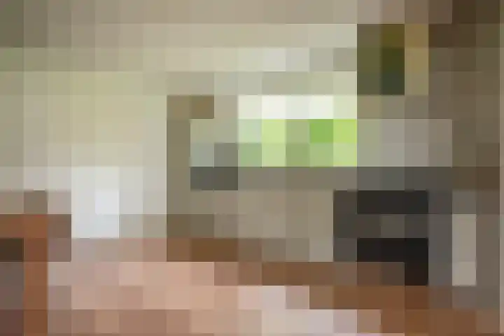 Dorpsstraat 4 Pesse thumbnail 14