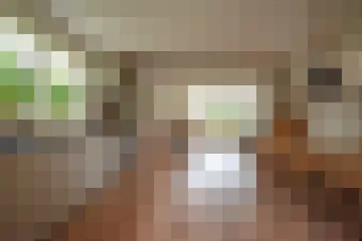Dorpsstraat 4 Pesse thumbnail 15