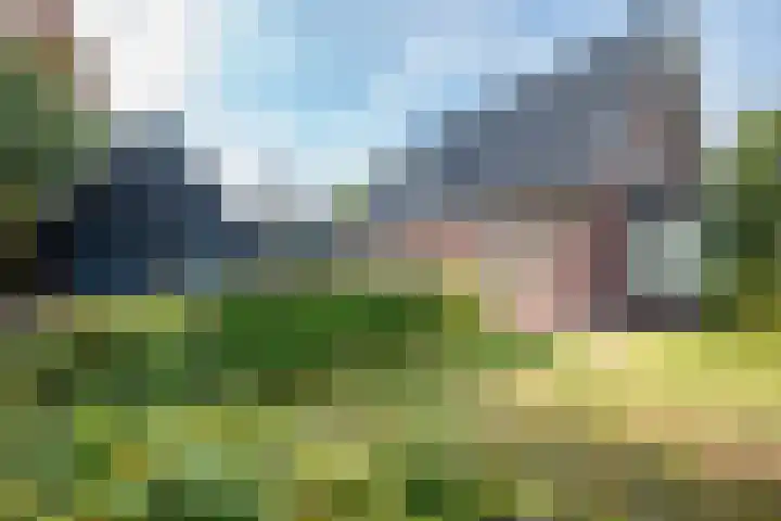 Dorpsstraat 4 Pesse foto 2