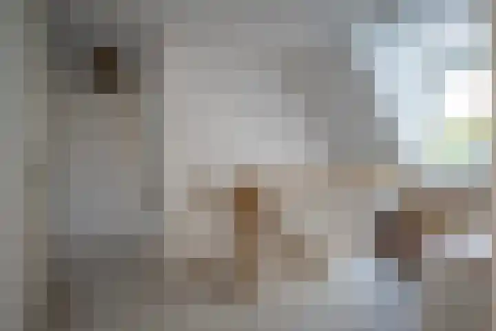 Dorpsstraat 4 Pesse thumbnail 20