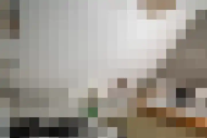 Dorpsstraat 4 Pesse thumbnail 22