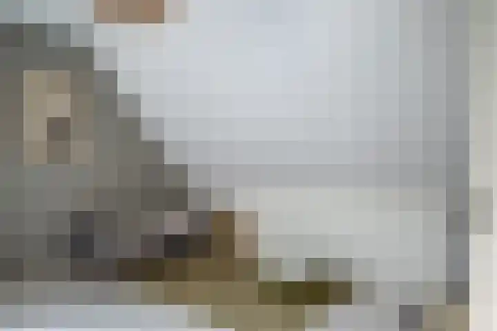 Dorpsstraat 4 Pesse thumbnail 24